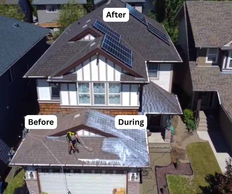 Home with rooftop solar panels; the roof around them has been rejuvenated
